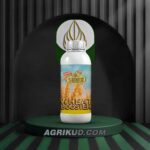 کود مخصوص گندم و جو شوک ۱ لیتری