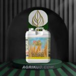 کود مخصوص گندم و جو شوک ۵ لیتری