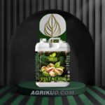 کود مخصوص پسته شوک ۵ لیتری