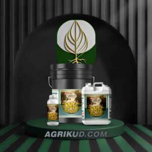 کود سیلیکات پتاسیم