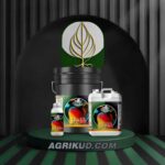 کود رنگ آوری شوک