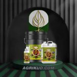 کود فروت ست شوک