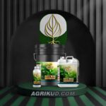 کود نیتروژن (ازت) شوک