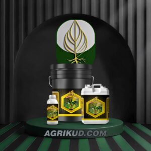 کود زینک (روی) شوک