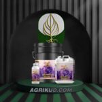 کود مخصوص زعفران شوک