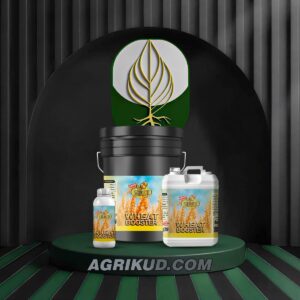 کود مخصوص گندم و جو شوک