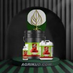 کود مخصوص گوجه شوک