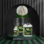 کود مخصوص خیار شوک