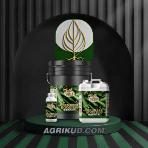 کود مخصوص خیار شوک