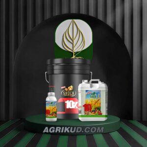 کود ده ایکس شوک