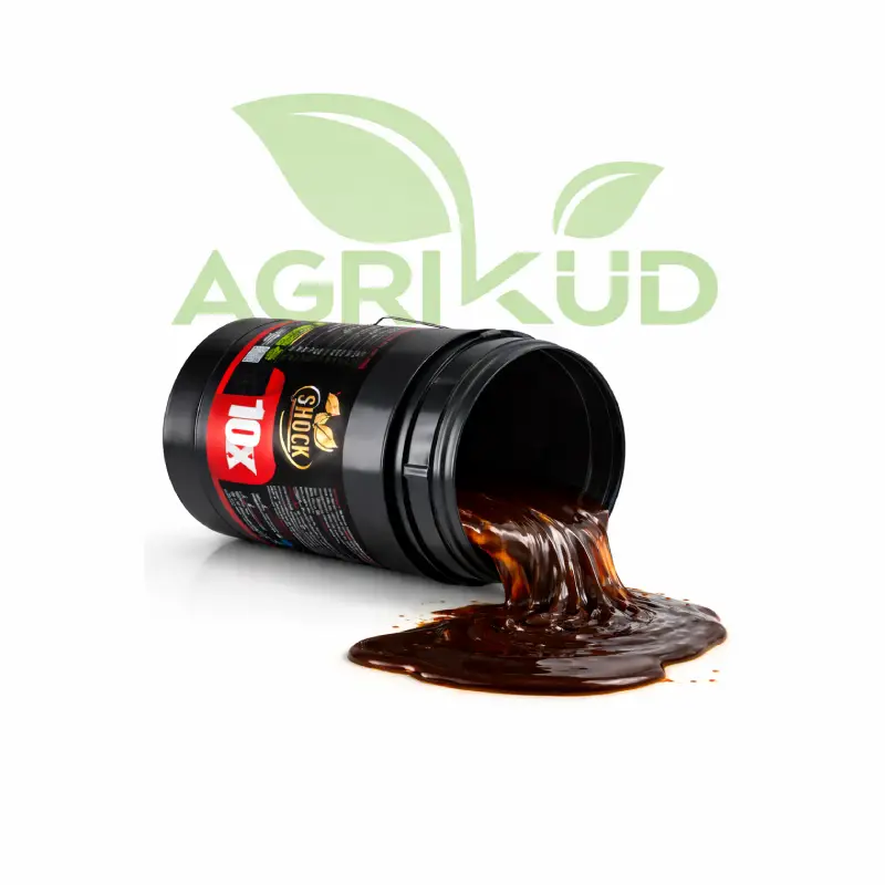 قیمت کود ده ایکس شوک