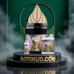 کود ۲۰-۲۰-۲۰ بمب