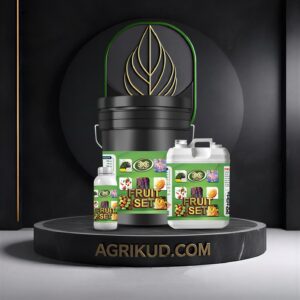 کود فروت ست اکسپلود