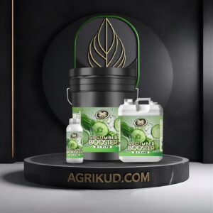 کود مخصوص خیار اکسپلود