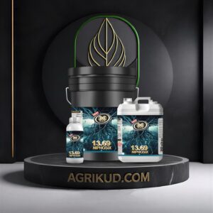 کود 19.63 اکسپلود