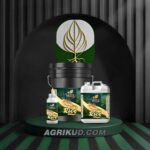 کود مخصوص برنج شوک