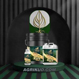 کود مخصوص برنج شوک