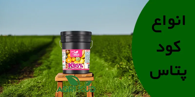 انواع کود پتاس و کاربرد آنها در تغذیه گیاهان